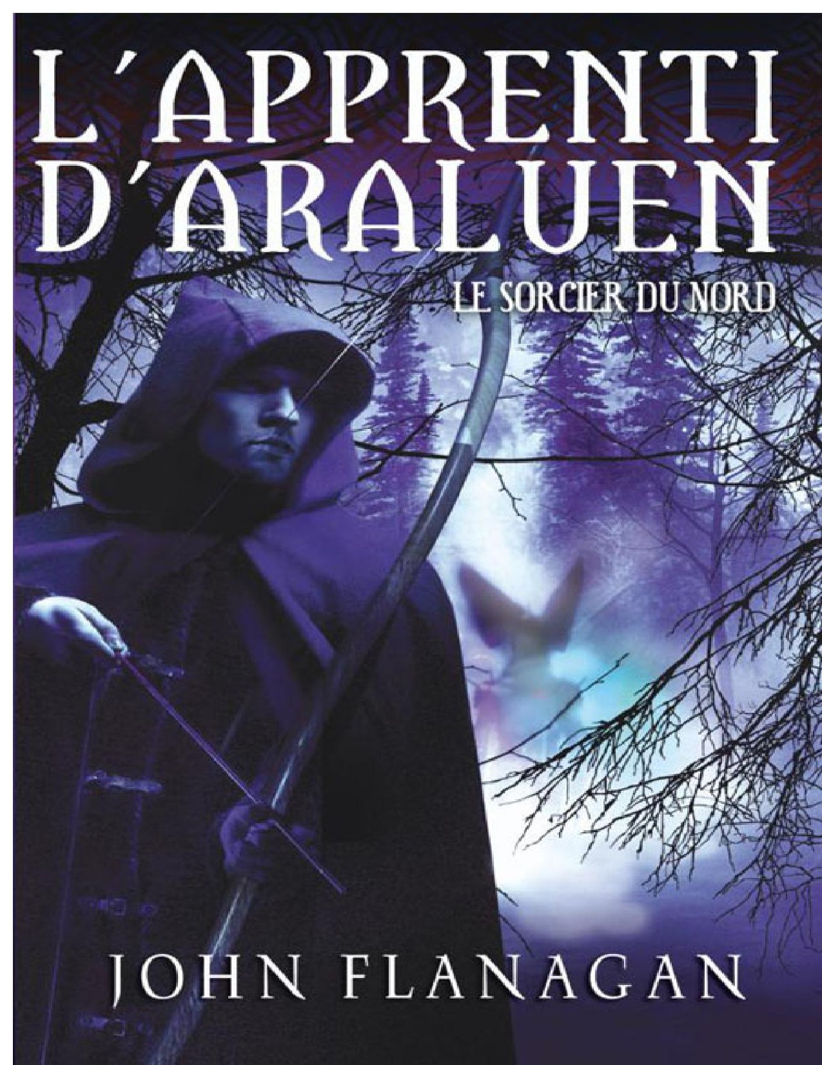 Le sorcier du Nord