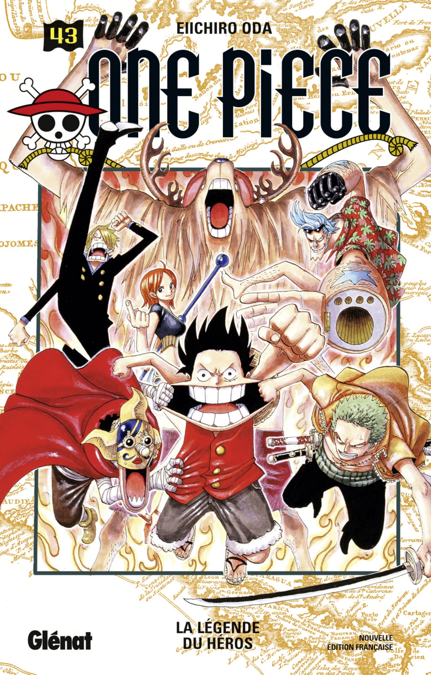 One Piece T043