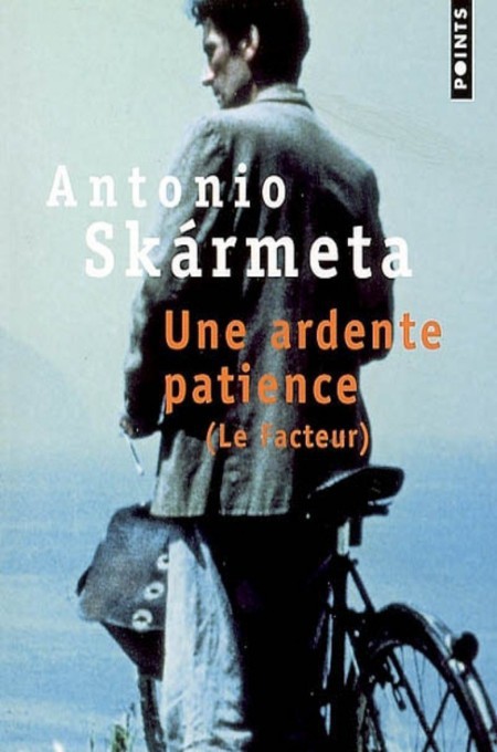 Une ardente patience