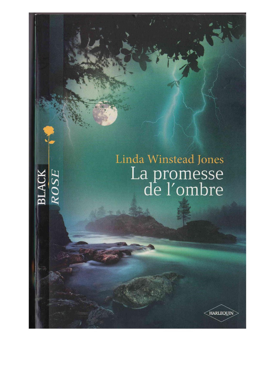 La promesse de l'ombre