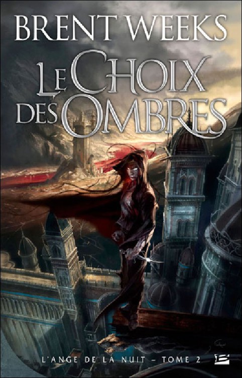 Le Choix Des Ombres